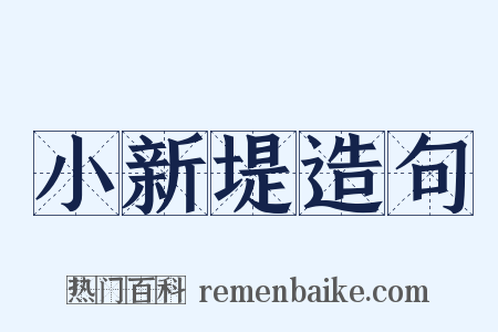 小新堤造句是什么意思的图片